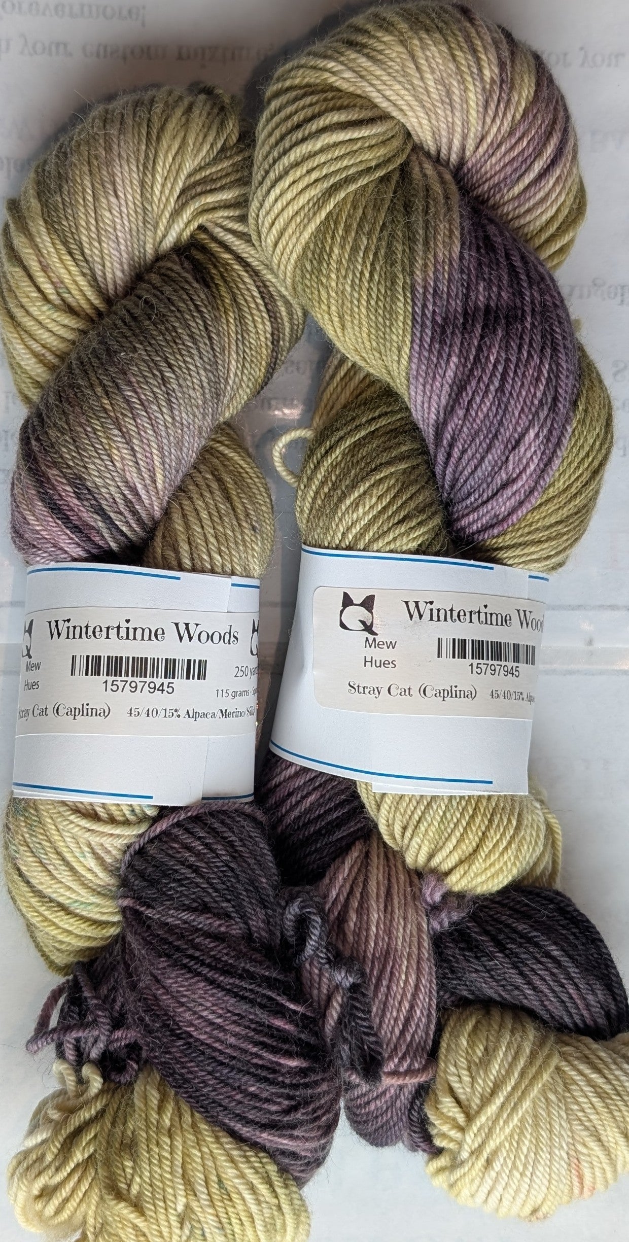 Wintertime Woods - Yarn (RTS)