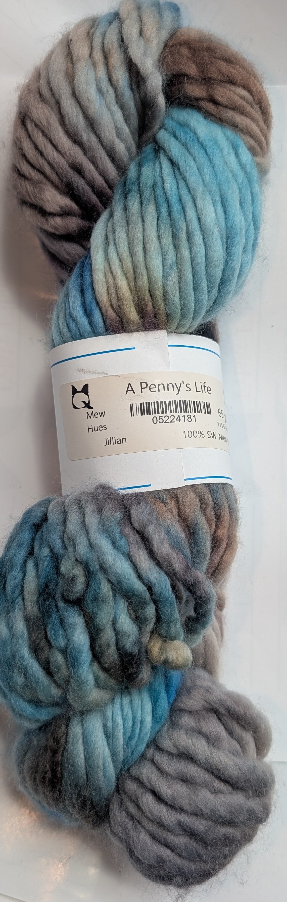 A Penny's Life - Yarn (RTS)