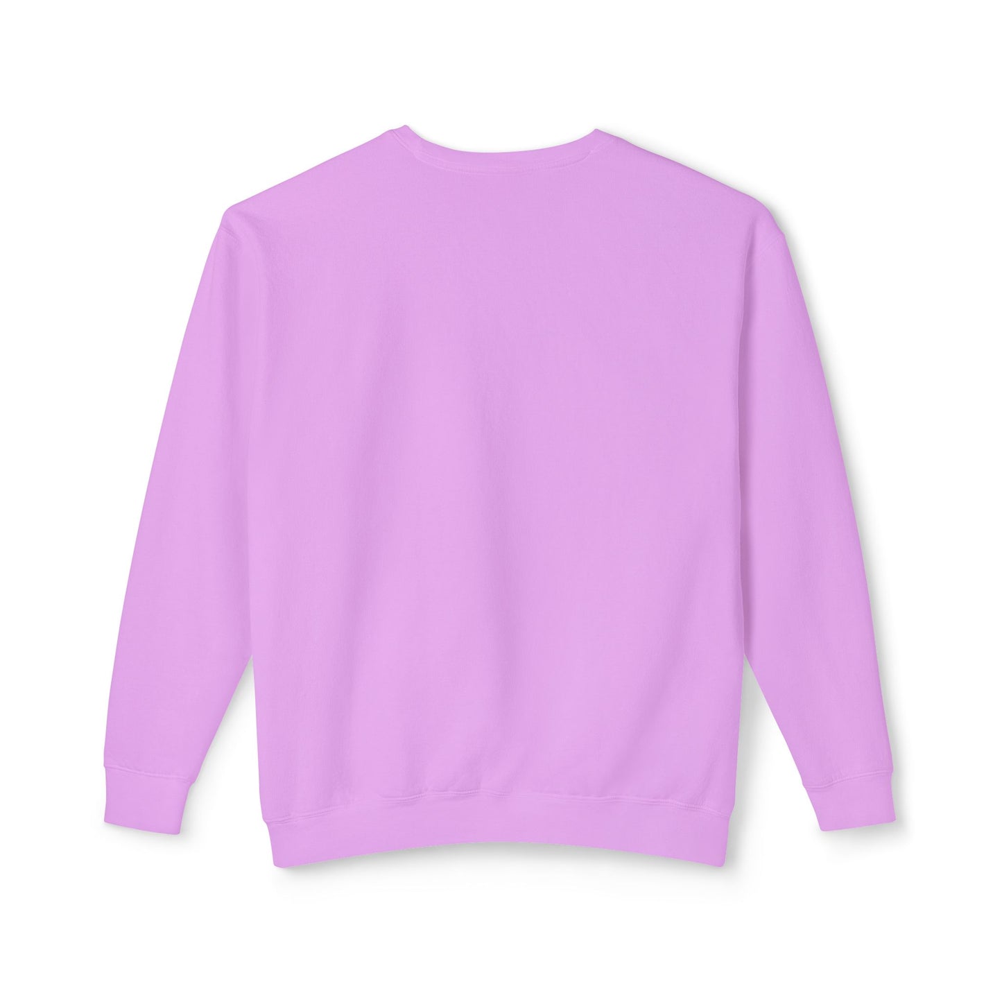 Fiber Adventure Retreat Crewneck Sweatshirt — Capon Springs 2026